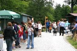 Zahlreiche Besucher erwartet die Nationalparkverwaltung an den beiden Festwochenenden im Mai und August 2020. Nun werden noch Essensstände gesucht. (Foto: Nationalpark Bayerischer Wald)