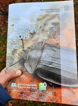 Der Jahresbericht 2019 gibt einen Überblick über die Tätigkeiten, Veranstaltungen und Aktionen im Nationalpark Bayerischer Wald. (Foto: Annette Nigl/Nationalpark Bayerischer Wald)