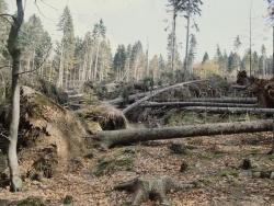 1. August 1983 - Gewittersturm. Foto: Rainer Pöhlmann