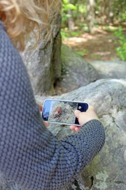 Die Beiträge für den Wettbewerb können mit dem Smartphone, der Digitalkamera oder professionellem Equipment gemacht werden. Entscheidend sind letztendlich die Motive. (Foto: Annette Nigl/Nationalpark Bayerischer Wald)