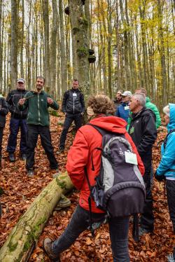 Das Wissen über den Nationalpark wurde den neuen Waldführern unter anderem bei Exkursionen im wilden Wald näher gebracht, wie hier mit Forschungsleiter Jörg Müller. (Foto: Thomas Michler/Nationalpark Bayerischer Wald)