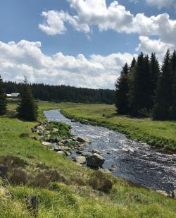 Die erste Radtour in diesem Sommer führt am Maderbach entlang und durch das weite Tal des Rachelbach. (Foto: Jutta Pongratz)