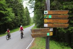 Nur auf deutlich gekennzeichneten Strecken ist das Radfahren im Nationalpark erlaubt.  (Foto: Annette Nigl / Nationalparkverwaltung Bayerischer Wald)