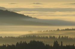 Einen Blick auf den Nationalpark Šumava und auf die Ausläufer des Böhmerwaldes können die Teilnehmer der Wanderung am 3. Juni genießen (Foto: Rainer Simonis).