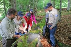 Ranger Mario Schmid (l.) erläuterte den Gästen aus El Salvador anhand einer jungen Fichte auf einem abgestorbenen Baumstumpf den Gedanken „Natur Natur sein lassen“ (Foto: Annette Nigl / Nationalparkverwaltung Bayerischer Wald)