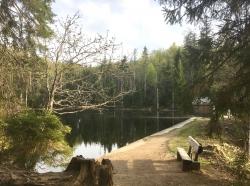 Die idyllisch gelegene Martinsklause ist am Freitag, 22. Juni, Ziel der Wanderung aus der Reihe „Nationalpark und Schöpfung“. (Foto: Sandra Schrönghammer/Nationalpark Bayerischer Wald)