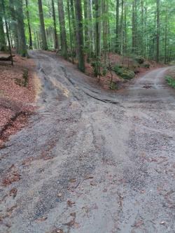 Durch das Unwetter der vergangenen Nacht wurden Wege im Tier-Freigelände des Nationalparkzentrums Lusens ausgeschwemmt und sind derzeit schwieriger zu begehen (Foto: Andreas Hackl / Nationalparkverwaltung Bayerischer Wald).