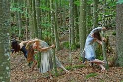 Junge Tänzerinnen und Tänzer studierten jüngst im Nationalpark Bayerischer Wald erste Choreographien für ein neues Werk zum Thema Wildnis ein. (Foto: Berny Meyer)