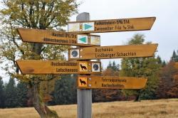 Für die ambitionierte Tagestour über Schachten und Filze sollten alle Teilnehmer eine gewisse Grundkondition unbedingt mitbringen. (Foto: Gregor Wolf/Nationalpark Bayerischer Wald  -  Freigabe nur in Verbindung mit dem Veranstaltungshinweis)