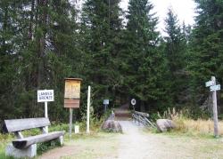 Bildunterschrift: Über den Grenzübergang Gsenget wird am Sonntag, 1. Juli, auf dem Gunthersteig nach Prasily gewandert. (Foto: Sandra Schrönghammer/Nationalpark Bayerischer Wald )