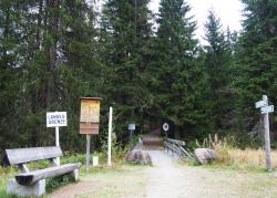 Bildunterschrift: Über den Grenzübergang Gsenget wird am Sonntag, 1. Juli, auf dem Gunthersteig nach Prasily gewandert.  (Foto: Sandra Schrönghammer/Nationalpark Bayerischer Wald )