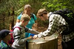 Die großen und kleinen Wunder des Waldes gibt es beim Kinderprogramm des Nationalparks zu entdecken. Auch außerhalb der Ferien ist jede Menge geboten. (Foto: Irene Gianordoli/Nationalpark Bayerischer Wald)