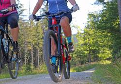 Die nächste grenzüberschreitende Radtour in den Nationalpark Šumava findet am Sonntag, 5. August statt. (Foto: Annette Nigl / Nationalpark Bayerischer Wald)