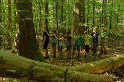 Beim Kinderprogramm des Nationalparks kann gemeinsam der Wald erkundet werden. (Foto: Thomas Michler/Nationalpark Bayerischer Wald­  –  Freigabe nur in Verbindung mit dem Veranstaltungshinweis)