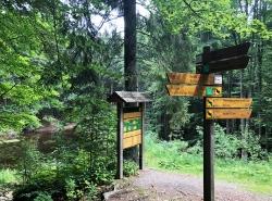 Die nächste grenzüberschreitende Wanderung in den Nationalpark Šumava führt unter anderem an Fürstenhut und der Teufelsbachklause vorbei. (Foto: Sandra Schrönghammer/Nationalpark Bayerischer Wald)
