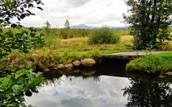 Den besonderen Lebensraum der Filze kennenlernen, können die Teilnehmer der Wanderung mit Waldführerin Claudia Melch am 26. August. (Foto: Sandra de Graaf / Nationalpark Bayerischer Wald)