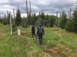 Die nächste, grenzüberschreitende Wanderung in den Nationalpark Šumava findet am Sonntag, 16. September, statt. (Foto: Gregor Wolf)