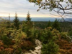 Die nächste meditative Wanderung am Sonntag, 23. September, führt die Teilnehmer über die herbstliche Himmelsleiter auf den Lusen. (Foto: Sandra Schrönghammer)