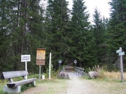 Die Brücke am Grenzübergang Gsenget wird neu gebaut, daher muss der Weg vom 17. bis 21. September gesperrt werden. (Foto: Sandra Schrönghammer/Nationalparkverwaltung Bayerischer Wald).