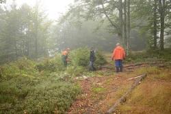 Über 70 Freiwillige kamen zum Aktions-Pflegetag, um den Bewuchs auf den Schachten mit Motorsägen und Gartenzangen zu entfernen. (Foto: Heinz Muggenthaler)