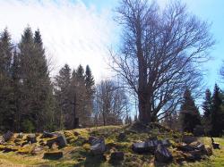 In Fürstenhut wurde ein Kreuz an der Stelle errichtet, wo einst die Kirche stand. (Foto: Sandra Schrönghammer)