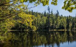 An der Martinsklause vorbei und zur Bärnlochhütte führt die Wanderung am Mittwoch, 3. Oktober. (Foto: Jo Fröhlich)