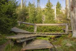 Die Moldauquelle im Nationalpark Sumava ist das Ziel der grenzüberschreitenden Wanderung am 14. Oktober. (Foto: Andreas Stumpp /Nationalpark Bayerischer Wald – Freigabe nur in Verbindung mit dem Veranstaltungshinweis)