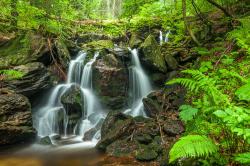 Die wilde Natur im Höllbachgespreng mit seinen Wasserfällen können Teilnehmer bei einer Wanderung am 27. Oktober erkunden. (Foto: Rainer Simonis/Nationalpark Bayerischer Wald)