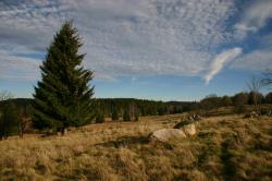 Die letzte grenzüberschreitende Wanderung in diesem Jahr führt durch die Fluren um Fürstenhut. (Foto: Josef Stemberk/Nationalpark Bayerischer Wald)