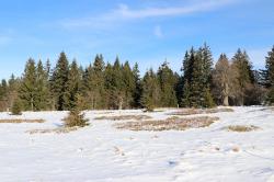 Über den Ruckowitzschachten auf den Gipfel des Großen Falkensteins führt die Wanderung am Samstag, 22. Dezember, mit Waldführer Steffen Krieger. (Foto: Gregor Wolf)
