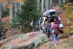 Zunächst legte Aylin das Futter für die Wölfe aus, danach konnte sie die Tiere aus nächster Nähe aus dem Auto heraus beobachten. (Foto: Gregor Wolf/Nationalpark Bayerischer Wald)