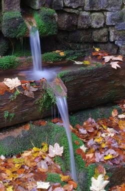 Die vergangenen Monate waren außergewöhnlich trocken, so dass die Grundwasserspiegel nahezu überall in Bayern rückläufig sind. (Foto: Rainer Simonis/Nationalpark Bayerischer Wald)