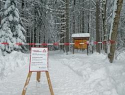 Das Tier-Freigelände in Neuschönau ist bis auf Weiteres gesperrt. (Foto: Lea Praml/Nationalpark Bayerischer Wald)