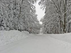 Stark abbruchgefährdete Äste und Baumkronen gibt es derzeit an vielen Stellen im Nationalpark – wie hier auf dem Winterwanderweg zur Racheldiensthütte. (Foto: Sandra de Graaf/Nationalpark Bayerischer Wald)