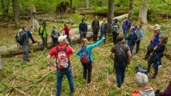 Im Rahmen der Waldführerausbildung stehen einige Fachführungen in der Waldwildnis auf dem Programm. (Foto: Thomas Michler/Nationalpark Bayerischer Wald)