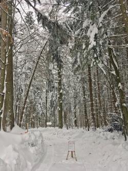 Wegen hoher Schneebruchgefahr bleibt das Tier-Freigelände bei Neuschönau bis auf Weiteres geschlossen. (Foto: Elke Ohland/Nationalpark Bayerischer Wald)