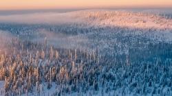 In den Höhenlagen, wie im Bereich des Lusens, hat sich die Lage entspannt und die markierten Hauptwanderwege sind weitgehend begehbar. (Foto: Rainer Simonis/Nationalpark Bayerischer Wald)