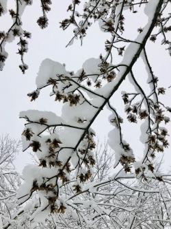 Natur in Verbindung mit meditativen Elementen erleben, das können die Teilnehmer der ökumenischen Winterwanderung am 2. Februar. (Foto: Sandra Schrönghammer)
