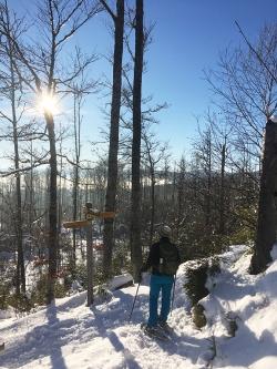 Rund um den Siebensteinkopf führt die Schneeschuhtour am Samstag, 2. Februar. (Foto: Sandra Schrönghammer/Nationalpark Bayerischer Wald ­  –  Freigabe nur in Verbindung mit dem Veranstaltungshinweis)