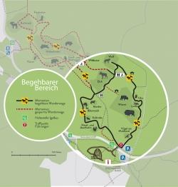 Die schwarz markierten Wege durch das Tier-Freigelände sind wieder freigegeben – auch für Führungen. (Grafik: Annemarie Schmeller/Andreas Stumpp/Nationalpark Bayerischer Wald)