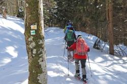 Durch den verschneiten Winterwald geht’s am Sonntag mit Waldführerin Beate Gebhardt. (Foto: Gregor Wolf/Nationalpark Bayerischer Wald)