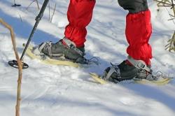Waldführerin Lisa Moser begleitet am Sonntag, 24. Februar, alle Interessierten auf Schneeschuhen zum Jährlingsschachten. (Foto: Gregor Wolf)