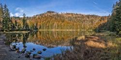 Am Grund des Rachelsees im Nationalpark Bayerischer Wald lassen sich Spuren eines Vulkanausbruchs finden, der sich gut 470 Kilometer Luftlinie entfernt ereignet hat. (Foto: Rainer Simonis/Nationalpark Bayerischer Wald)