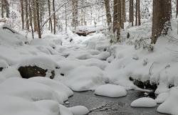 Die Bedeutung von Schnee ist Thema einer Wanderung mit Nationalpark-Forscher Burkhard Beudert am 16. März. (Foto: Gregor Wolf)