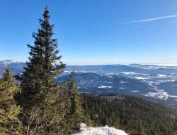 Auch wenn noch Schnee auf dem Falkenstein liegt, kündigt sich Ende März der Frühling im Nationalpark Bayerischer Wald an. Wie die Natur auf diesen Wandel reagiert, erfahren Interessierte bei einer Wanderung am 23. März. (Foto: Sandra Schrönghammer)