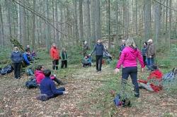 Augen zu, Ohren auf, Finger gespitzt: Mit allen Sinnen erlebten die Teilnehmer der Waldbaden-Fortbildung mit Dozent Martin Kiem (Mitte) die Natur um sich herum. (Foto: Gregor Wolf/Nationalpark Bayerischer Wald)