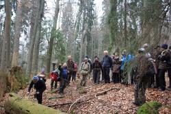 Die Besonderheiten des Urwalds am Kubany bekommen die Teilnehmer der Führung am Samstag, 27. April, von Pavel Hubený gezeigt. (Foto: Lukas Noeth)