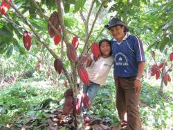 Kakao kann auch in artenreichen Kakaogärten angebaut werden. Wie dies funktioniert, darüber referiert Frauke Fischer am 2. Mai. (Foto: Dr. Frauke Fischer)