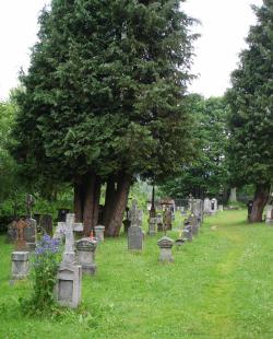Vorbei am eindrucksvollen Friedhof in Fürstenhut führt die grenzüberschreitende Wanderung. (Foto: WaldZeit e.V.)