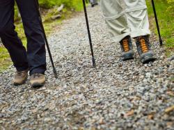 Teils auf bequemen Wegen führt die grenzüberschreitende Wanderung am 9. Juni. (Foto: Daniela Blöchinger)